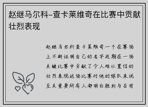 赵继马尔科-查卡莱维奇在比赛中贡献壮烈表现