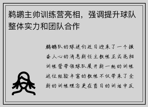 鹈鹕主帅训练营亮相，强调提升球队整体实力和团队合作